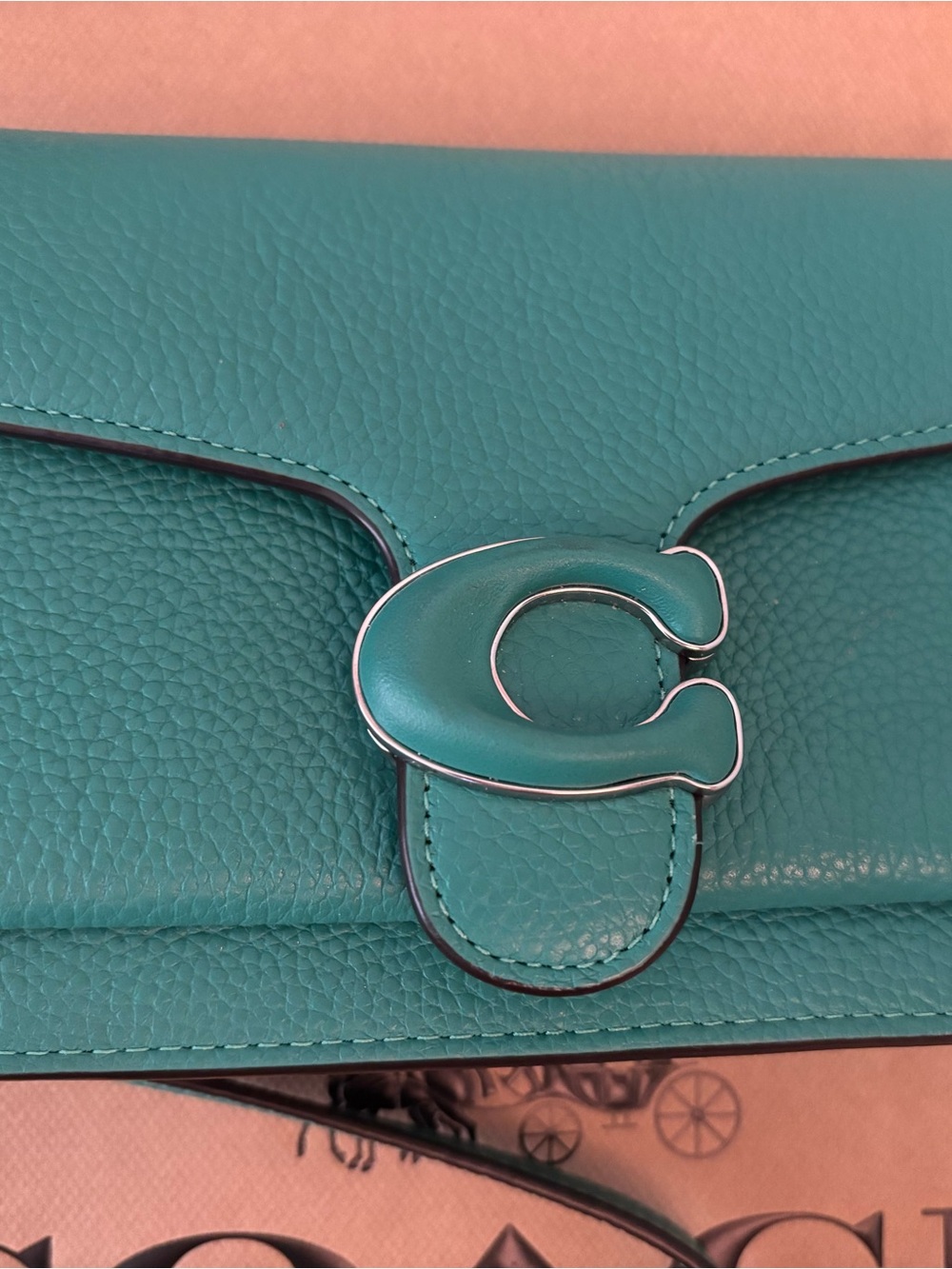 Coach Turquoise Leather C-Logo Chain Crossbody - Picture 2 of 11